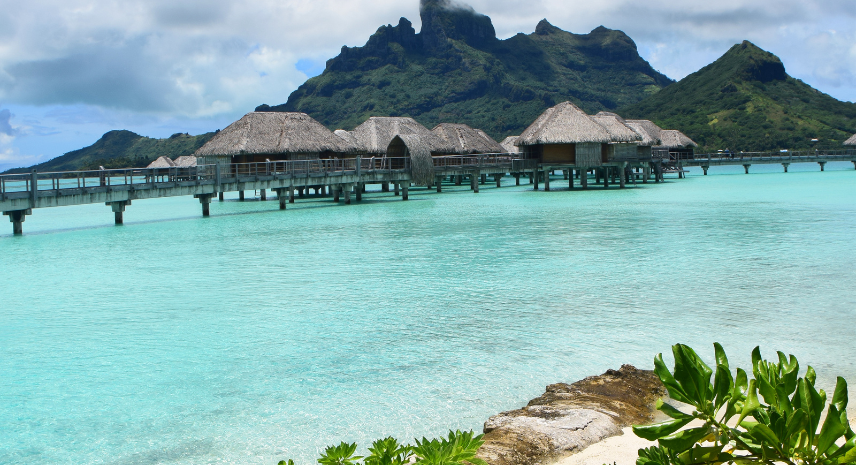 10. Viper Island